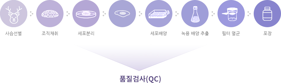 품질검사(QC) 사슴선별 조직채취 세포분리 세포배양 녹용 배양 추출 필터 멸균 포장