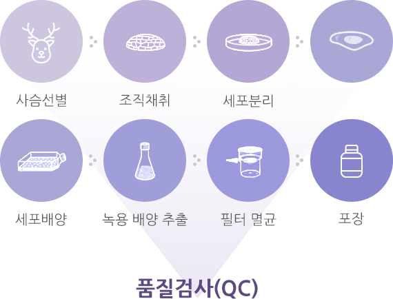 품질검사(QC) 사슴선별 조직채취 세포분리 세포배양 녹용 배양 추출 필터 멸균 포장